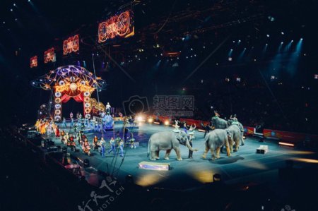人灯光舞台马戏团大象