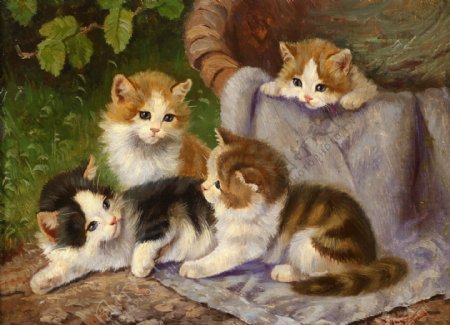 油画动物猫