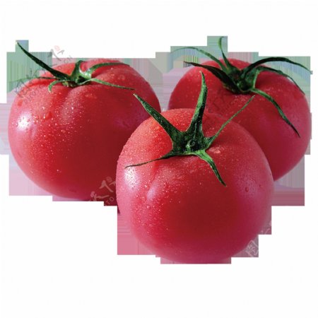 唯美高清西红柿素材