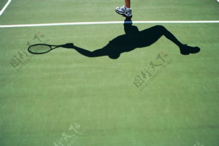 网球草地运动男性图片