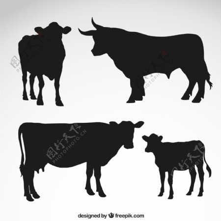 黑色牛剪影矢量素材图片