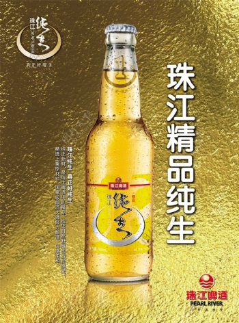 珠江沌生啤酒广告PSD素材