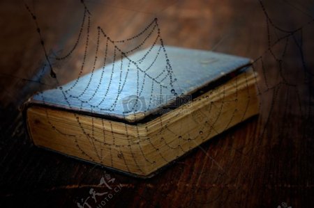 蜘蛛网与书籍