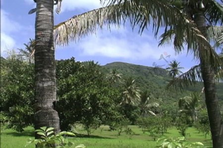 拉罗汤加岛股票视频场景视频免费下载