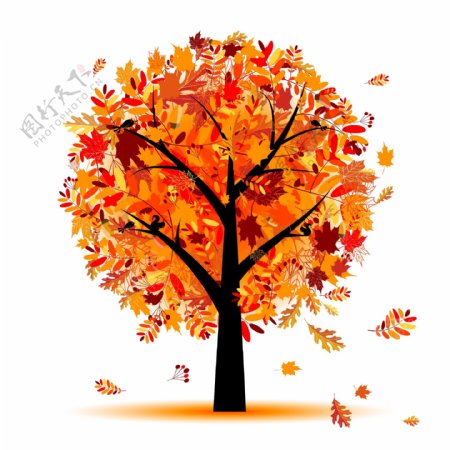 秋天树叶抽象树