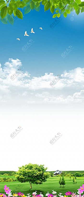 蓝天白云展架图片