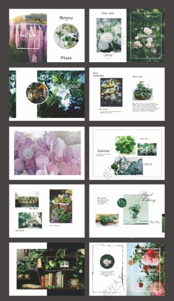 植物画册