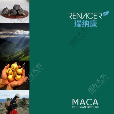 封面保健品宣传册玛卡环保