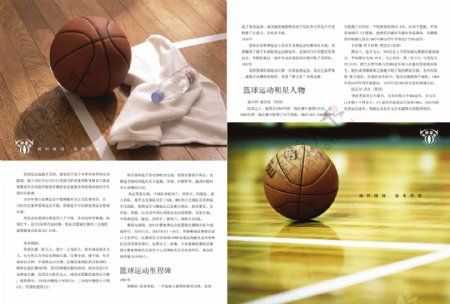 篮球书籍图片