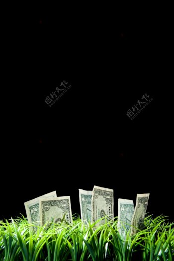 散落草坪里的钞票高清大图图片