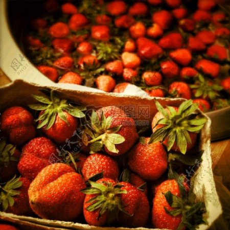 挑选出来的大草莓