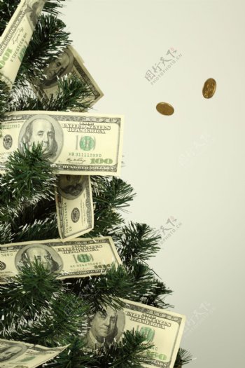 挂满圣诞树的美元图片