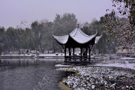 雪中陶然亭公园