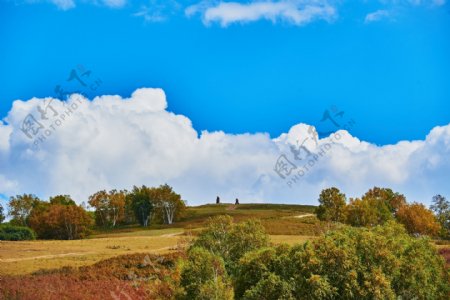 内蒙古乌兰布统草原风景