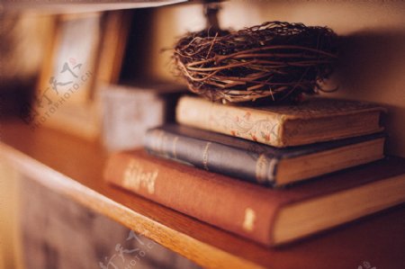 叠摞书籍上的鸟窝