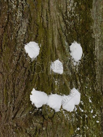 树上的雪笑脸