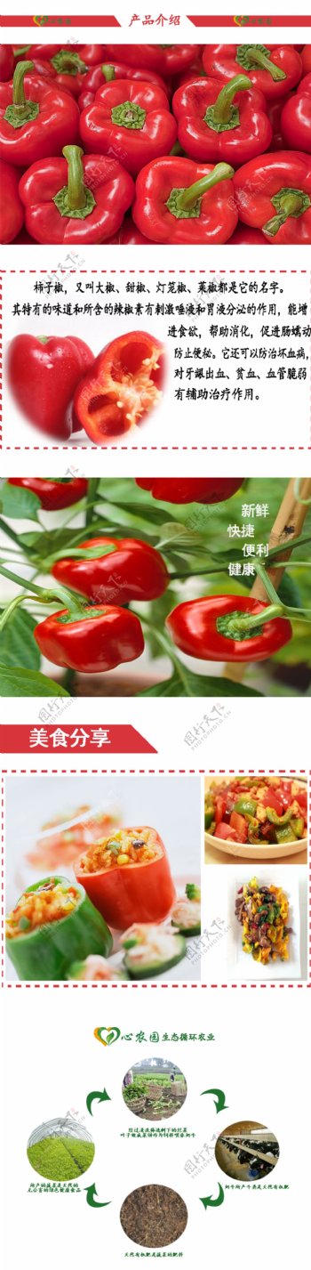 蔬菜柿子椒淘宝设计