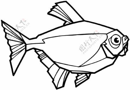 鱼水中动物矢量素材eps格式0033
