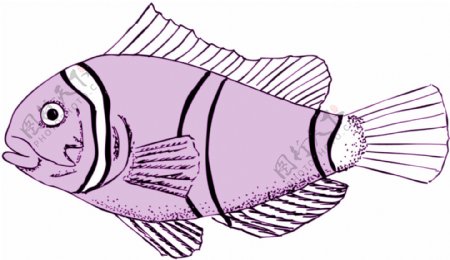 五彩小鱼水生动物矢量素材EPS格式0484