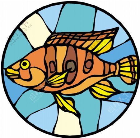 五彩小鱼水生动物矢量素材EPS格式0512