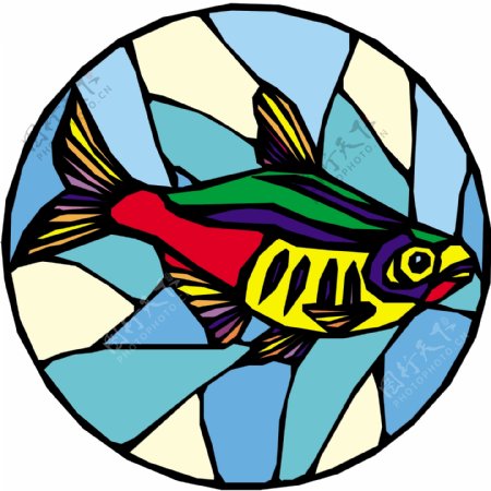 五彩小鱼水生动物矢量素材EPS格式0687