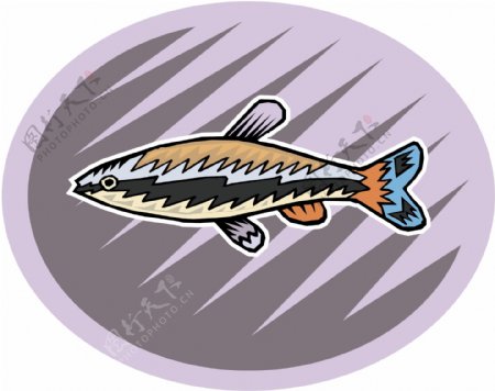五彩小鱼水生动物矢量素材EPS格式0731