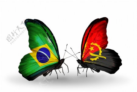 巴西与安哥拉花朵国旗图片