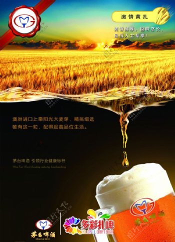 黄扎啤酒海报