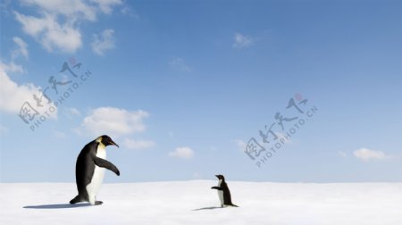 雪地上的大小企鹅图片