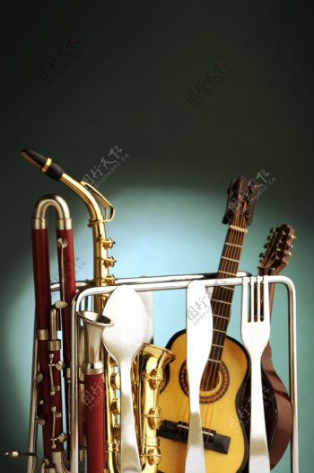 管乐器与弦乐器图片