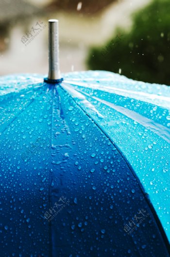 雨中的蓝色伞图片