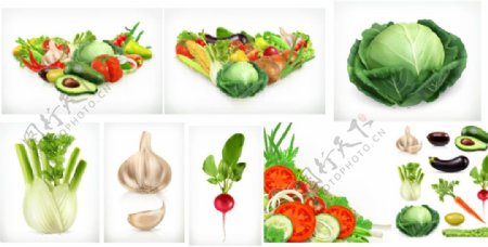 食材蔬菜