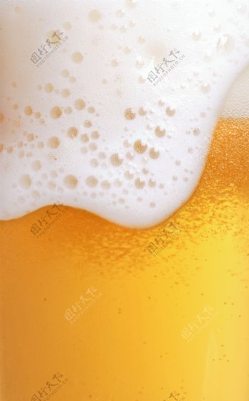 啤酒泡沫图特写图片