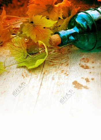 玻璃酒瓶与葡萄叶图片