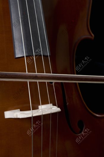 大提琴琴弦琴马图片