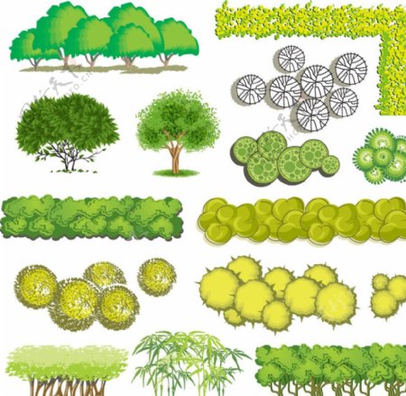 卡通景观树木图片
