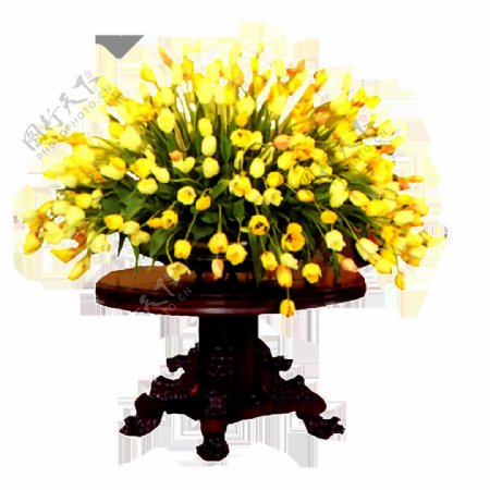 唯美黄色花朵盆景素材