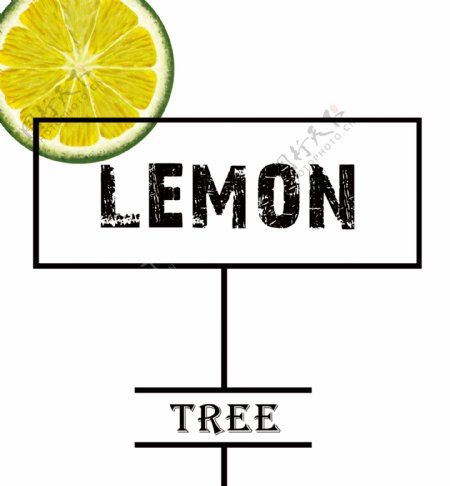 lemontree