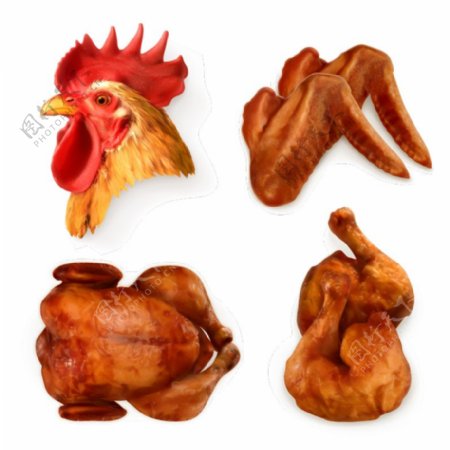 4款精美公鸡鸡头和烤鸡矢量素材