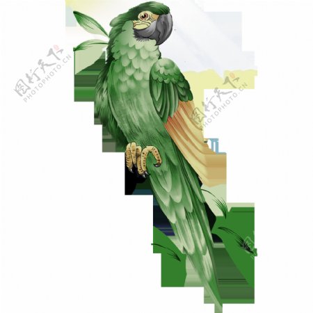 唯美绿色鸟儿绘画素材