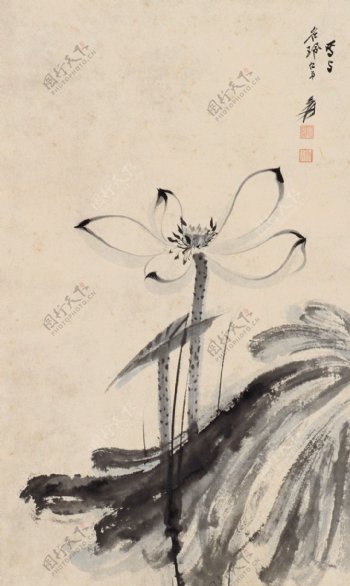 清代著名书画家朱耷的写意荷花图