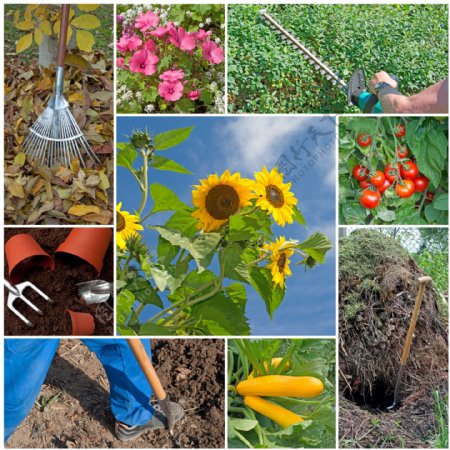 园艺工具与农作物图片
