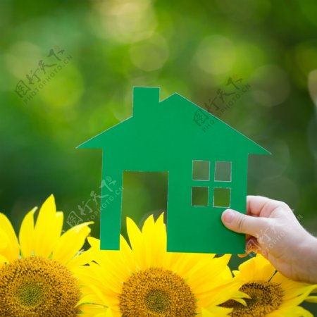绿色剪纸房子与向日葵图片