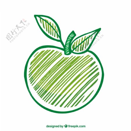 手绘绿苹果