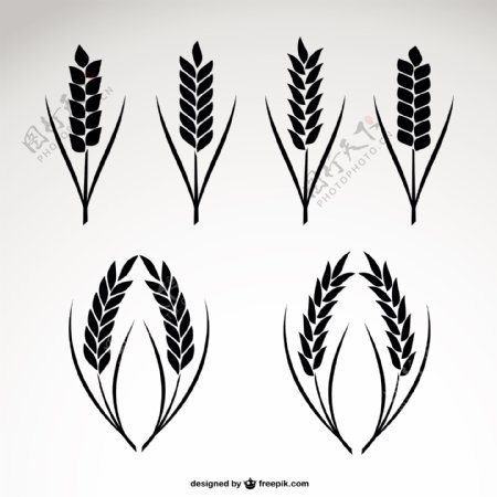 小麦收藏图标