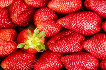 红色草莓漂亮背景图片