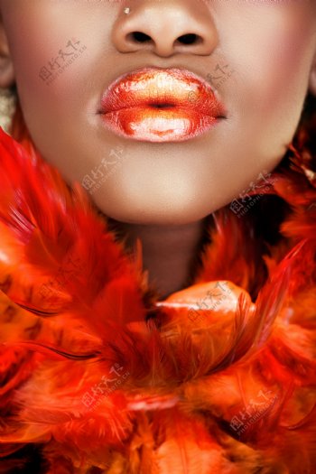 橘色羽毛和美女脸部图片