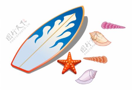 滑板贝壳海螺