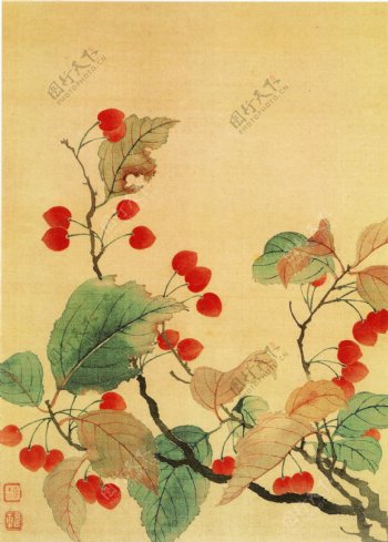 花卉图花鸟画中国古画0385