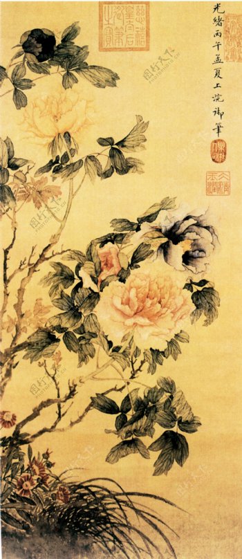 花卉图花鸟画中国古画0621